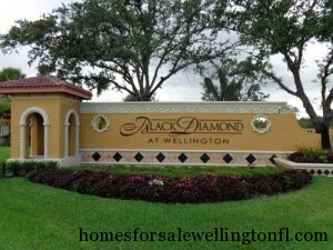 Wellington Florida Single Family Home Sales 