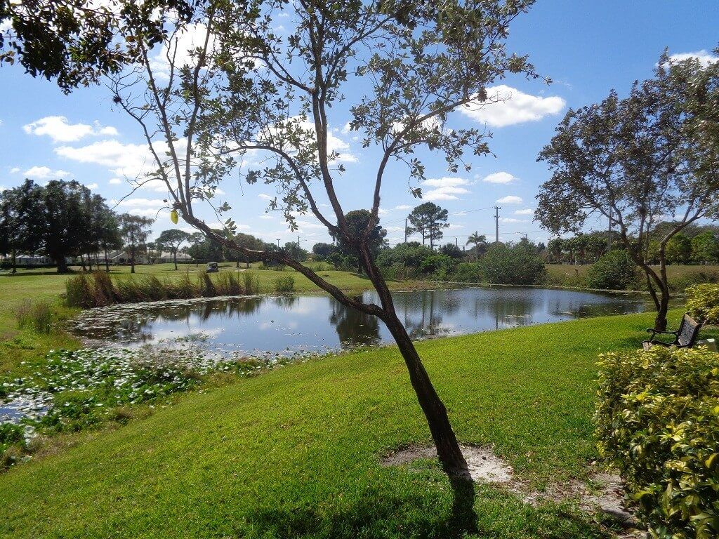 Arissa Place Recently Sold Homes in Wellington FL - Lake View