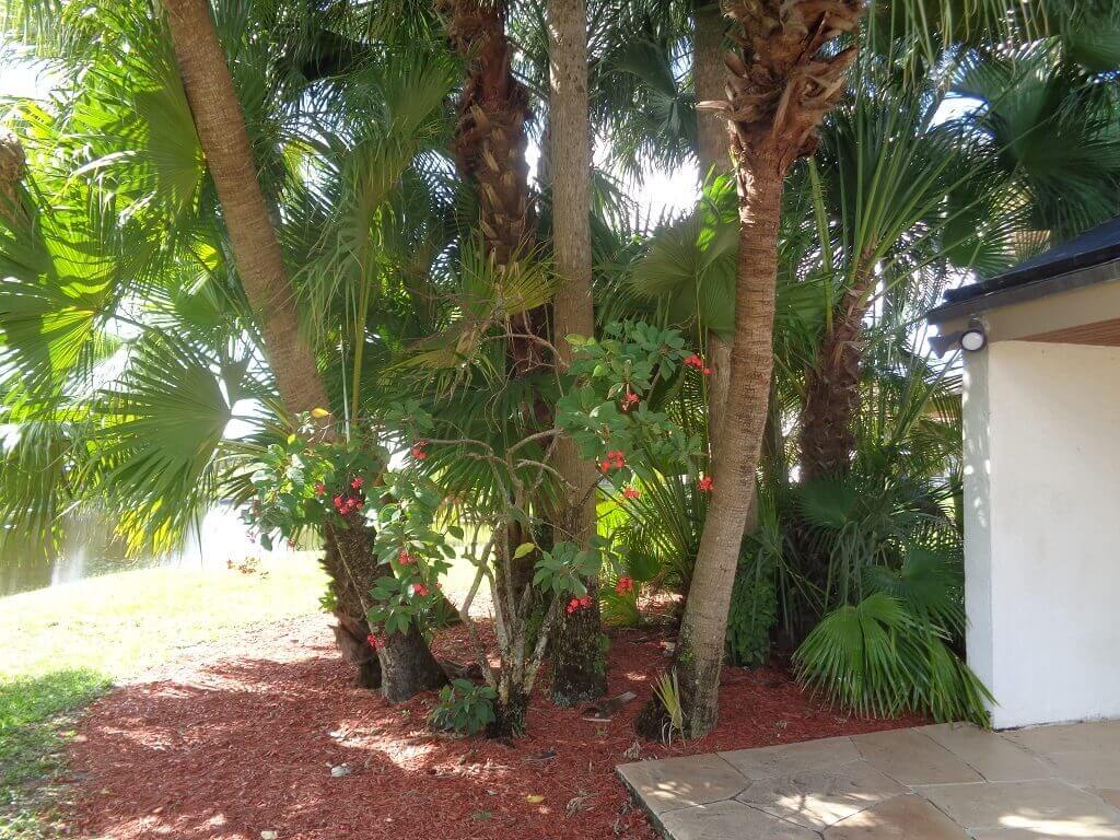 The Shores Condos For Sale in Wellington FL - Beautiful Landscaping
