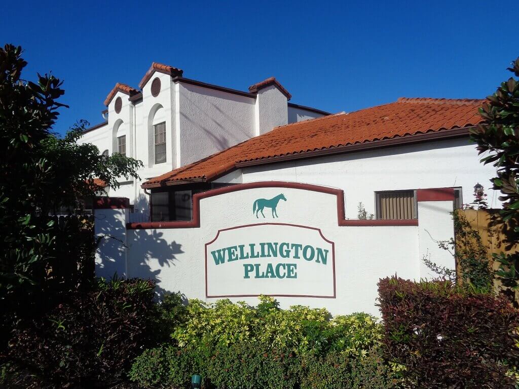Wellington Place Wellington FL Real Estate